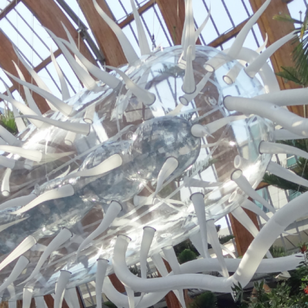 Giant E.coli floats over space in Sheffield Winter Garden.