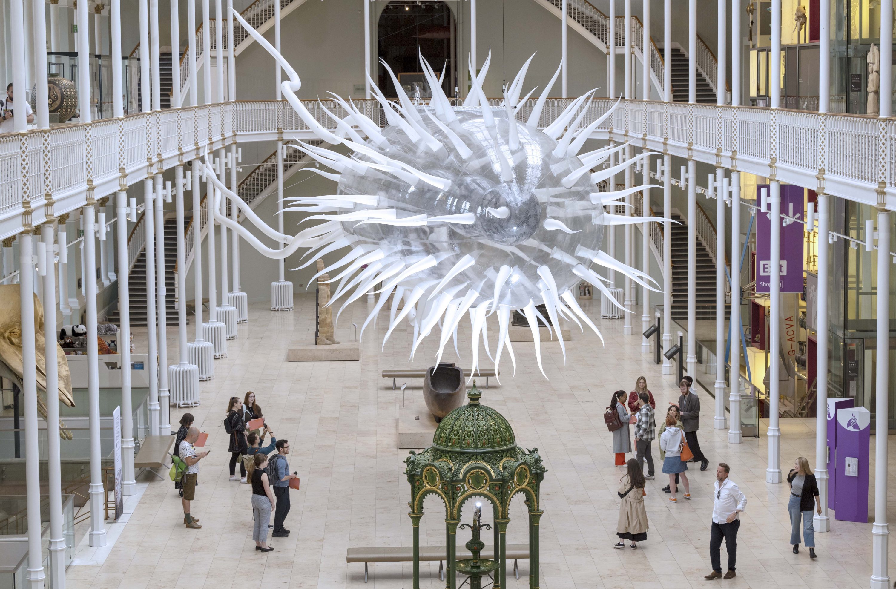 E.coli sculpture by Luke Jerram hangs in the grand gallery of the National Museum of Scotland.