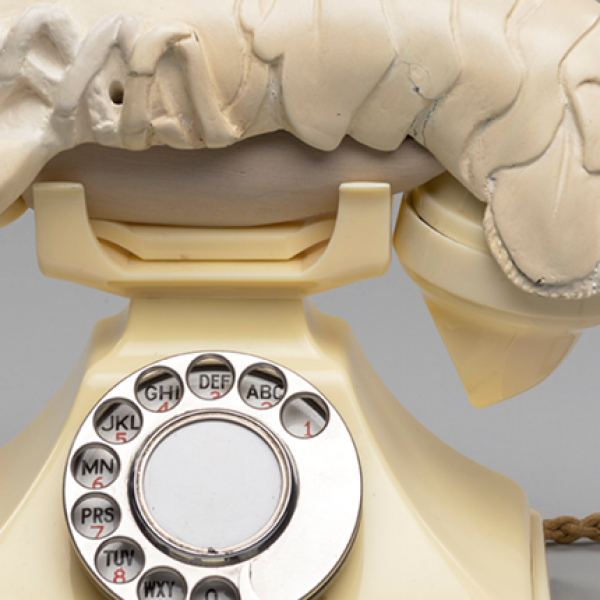 Lobster attached to telephone.