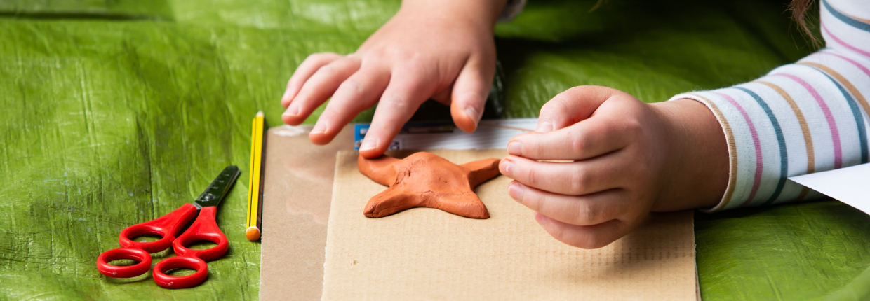 Young artist sculpts starfish from clay.