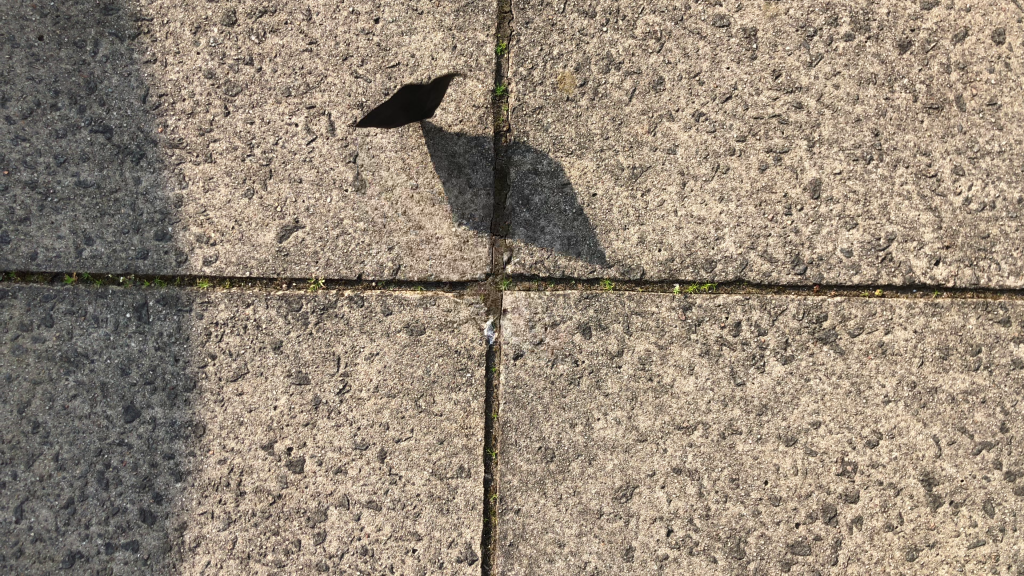 A piece of flint balances on a paving stone in work by Camara Taylor.